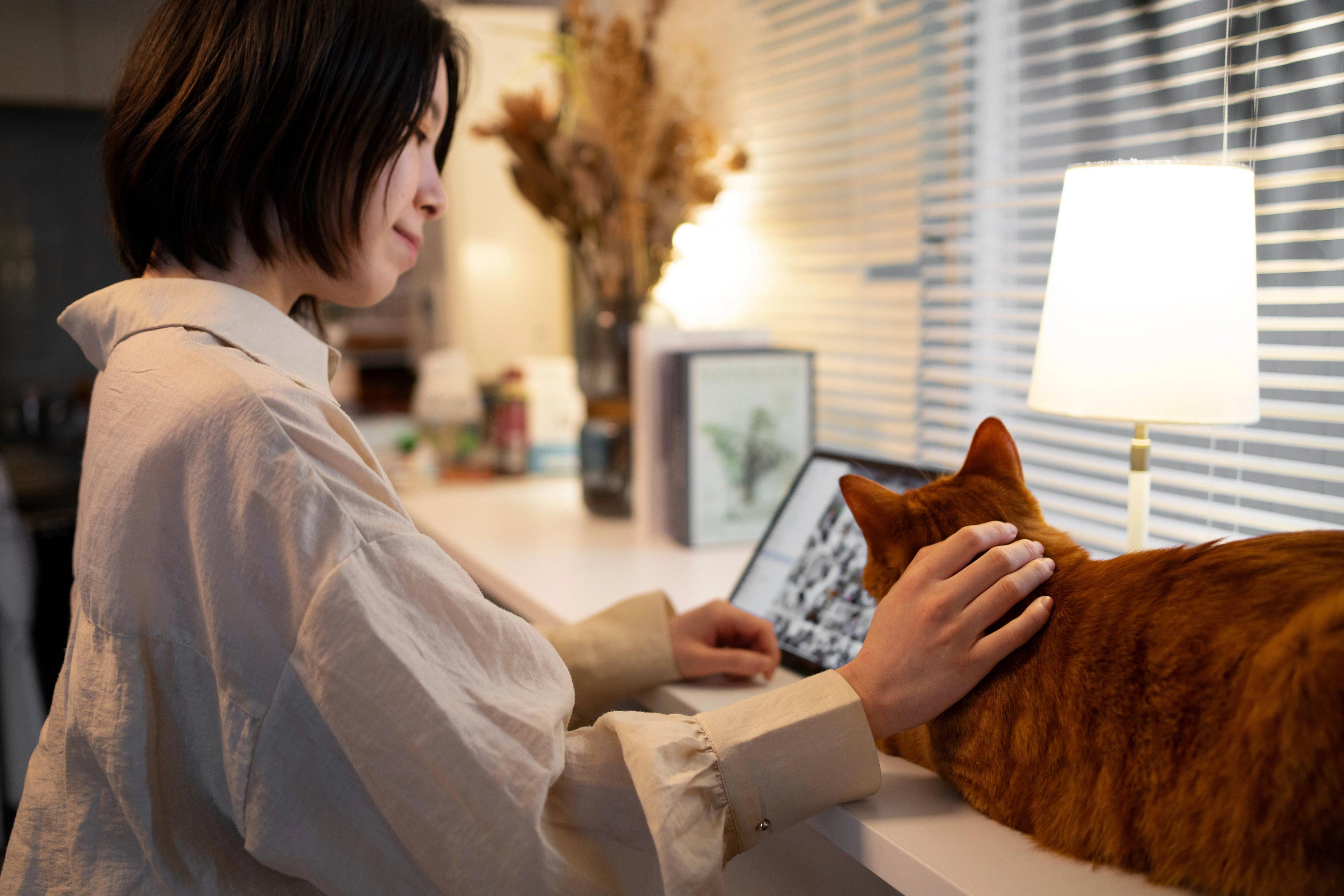 How a Home Energy Monitor Helps You Save Electricity and Money cover picture