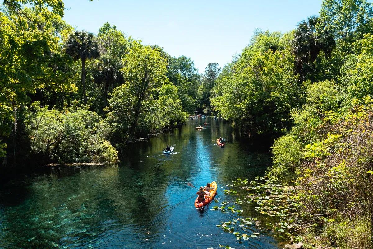 Discover the Timeless Beauty of Silver Springs State Park cover picture