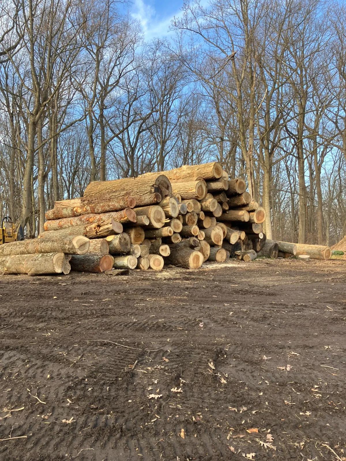 Expert Lawn Seeding in Marple Township cover picture