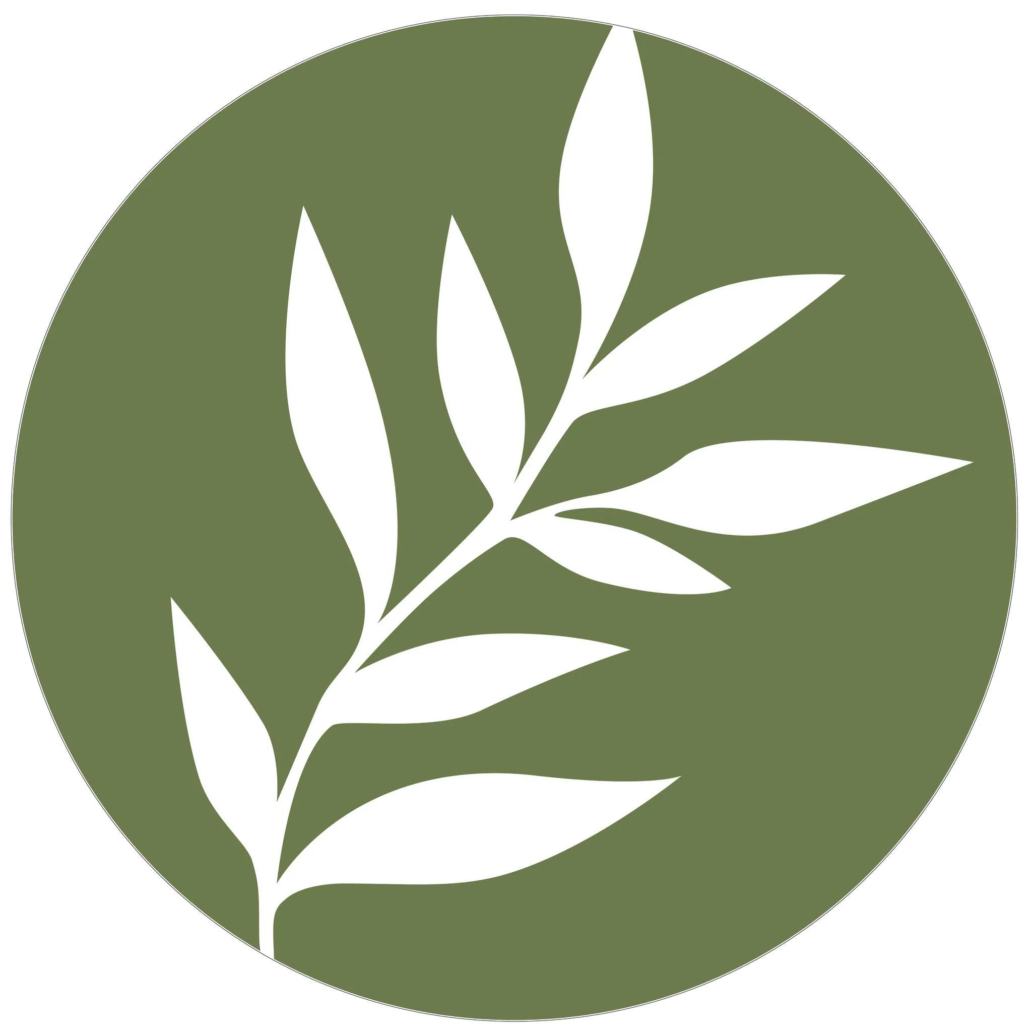 ProsperPlan Wealth Introduces New Website to Simplify Financial Decision-Making cover picture