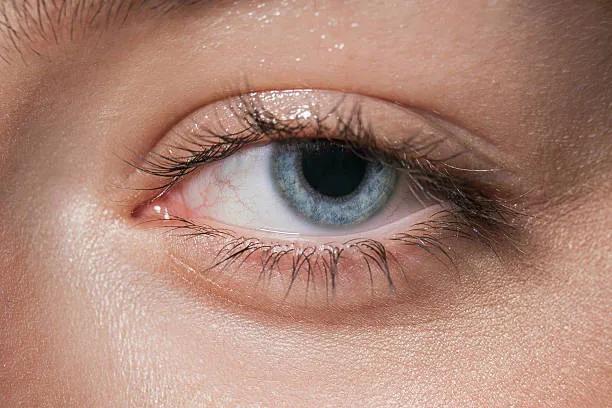 Can Eyelid Surgery Correct Heavy Eyelids? cover picture