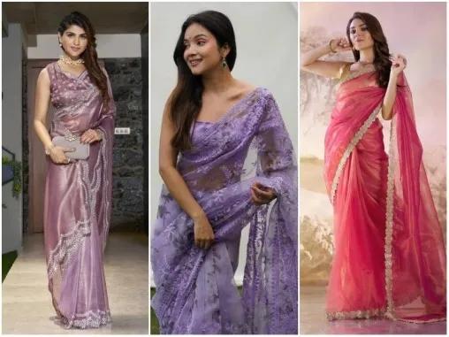 Organza Sarees in 2026: The Ethnic Trend Every Woman Is Falling in Love cover picture