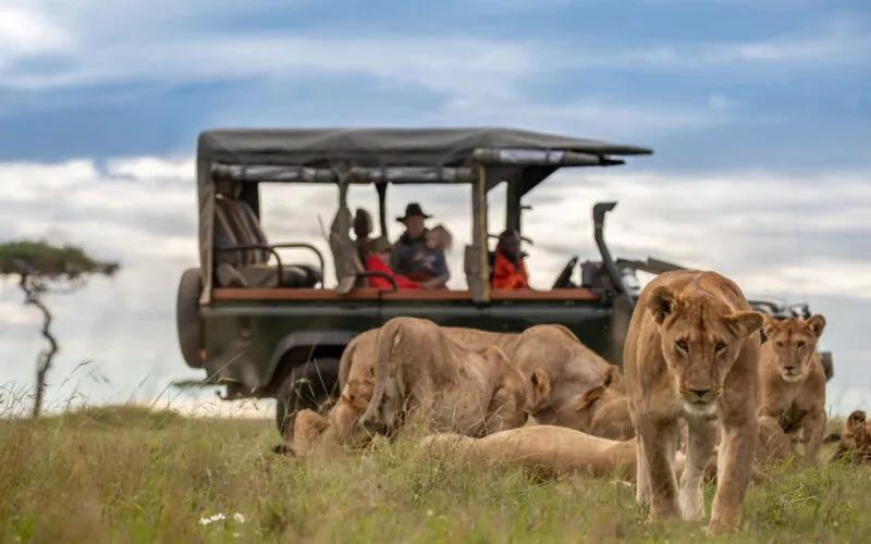 The Ultimate East African Expedition A Complete Guide to Kenya, Tanzania, Rwanda, and Uganda Safari Holidays cover picture