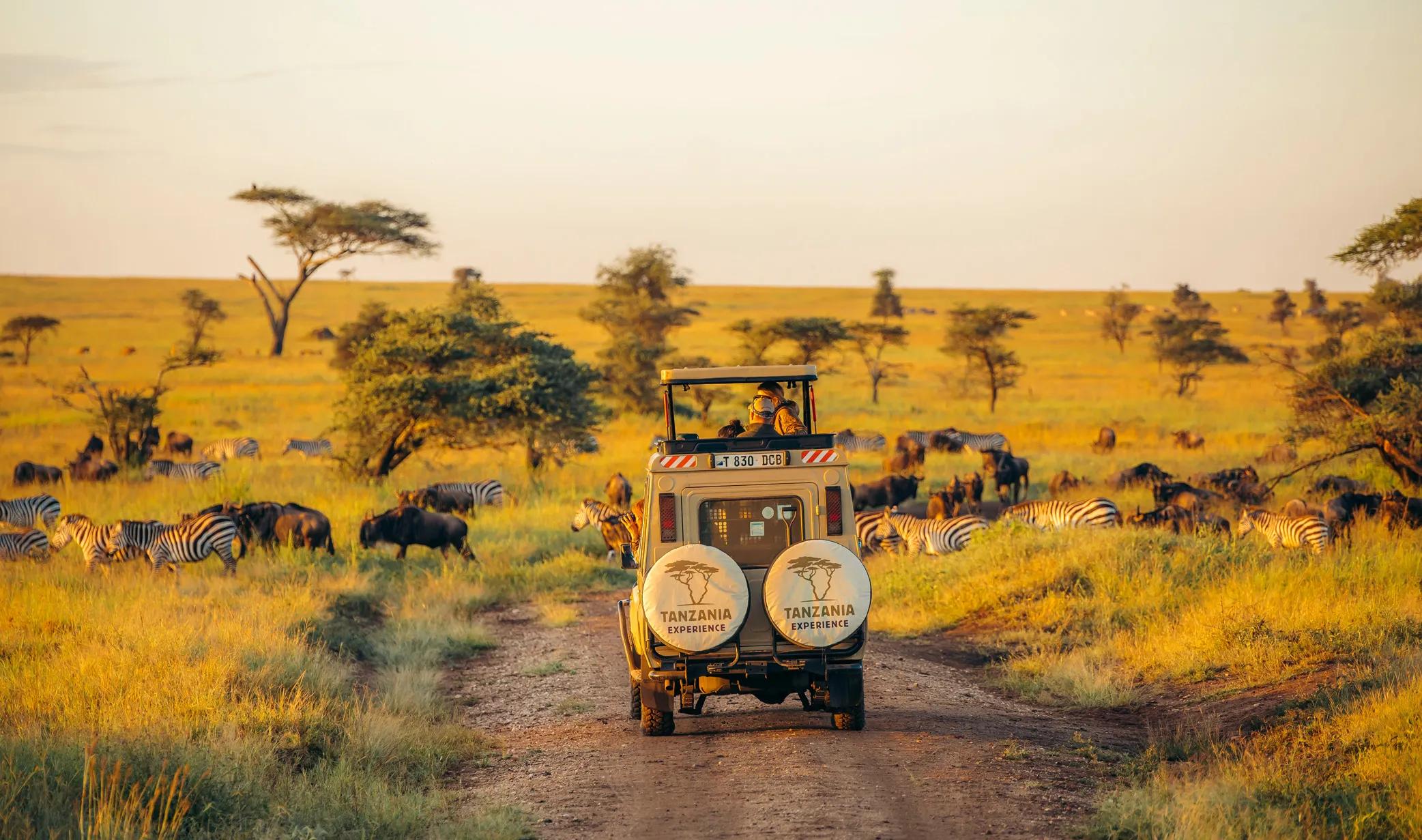 Discover the Best Safari Experiences in East Africa cover picture