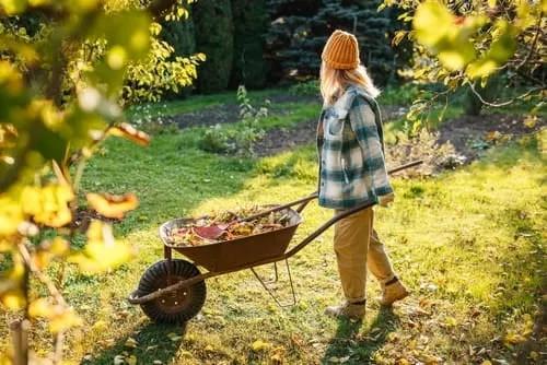 5 of the Most Frustrating Lawn Problems in the UK cover picture