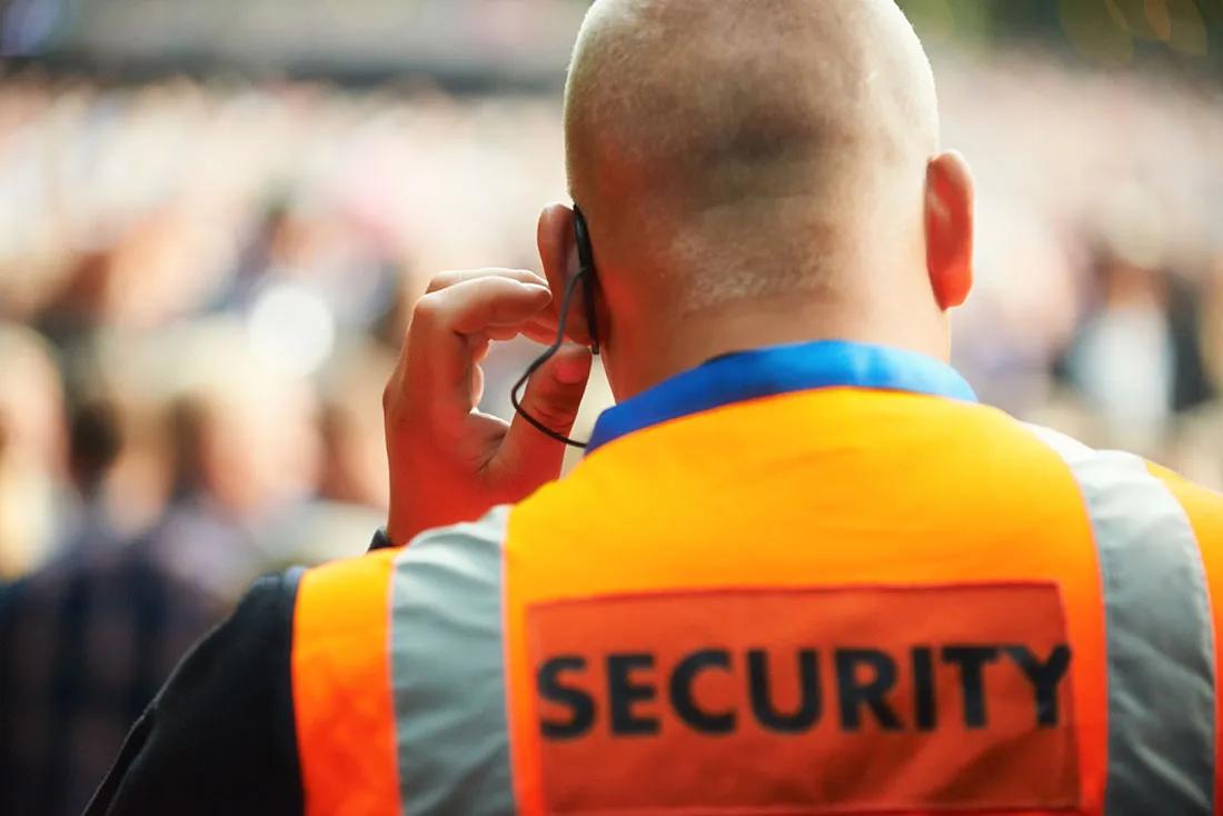 Professional Corporate Security Services in London cover picture