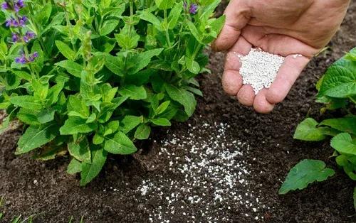 Nitrogenous Fertilizers Market Share Expansion and Forecast 2034 cover picture