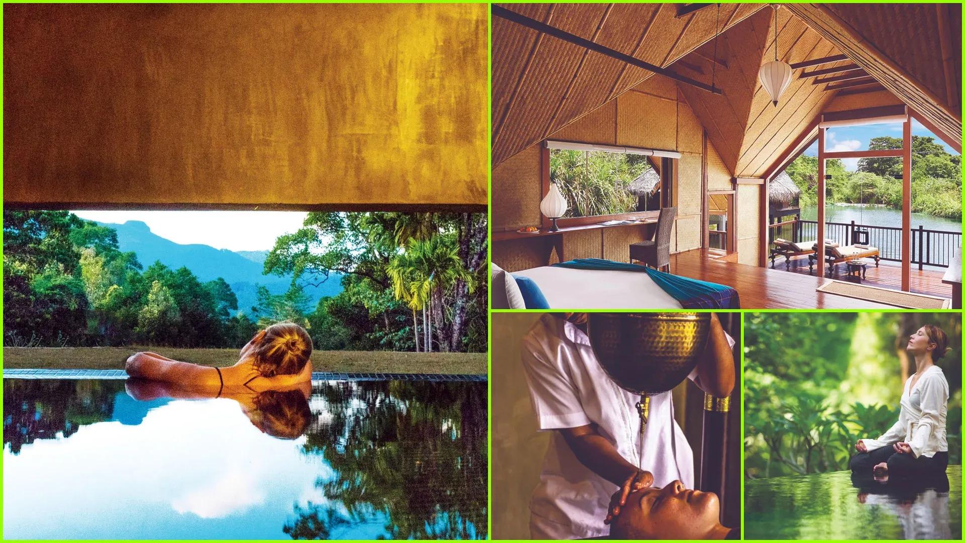 Wellness Tourism Market Industry Trends and Future Growth Outlook by Duration and Activity Forecast 2034 cover picture