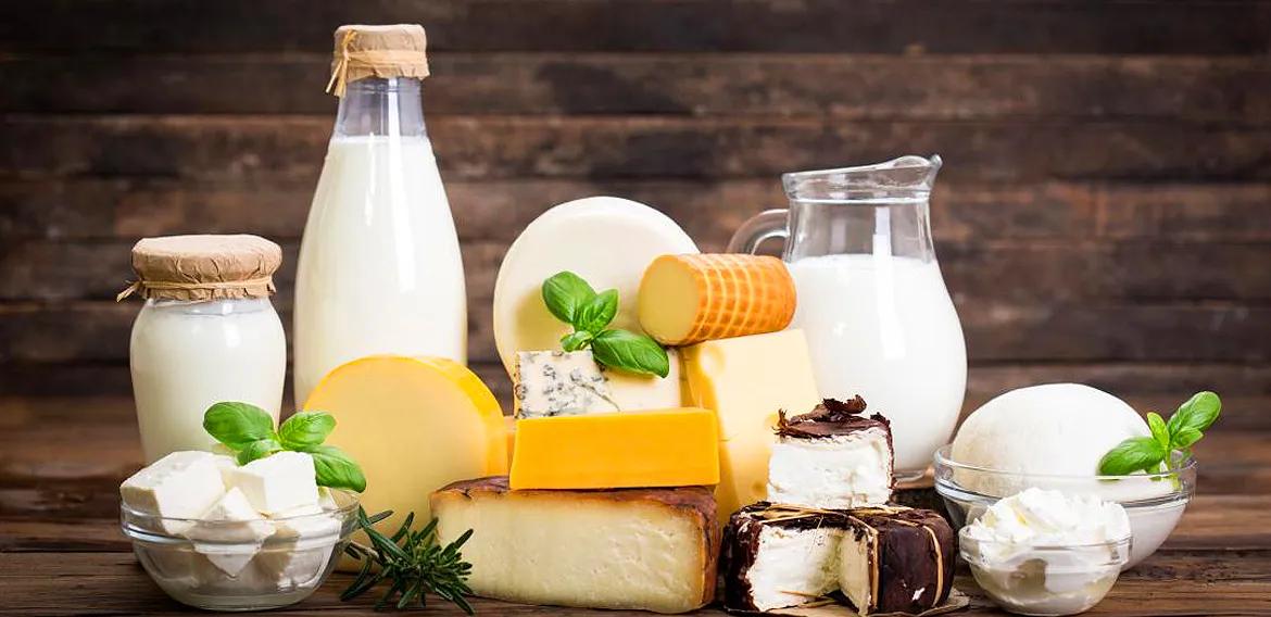 Dairy Product Market Size, Share, Trends and Forecast Insights 2034 cover picture