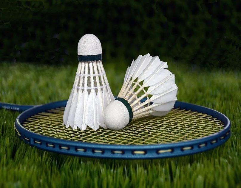 Badminton Market Trends by Consumer Segment and Forecast 2034 cover picture
