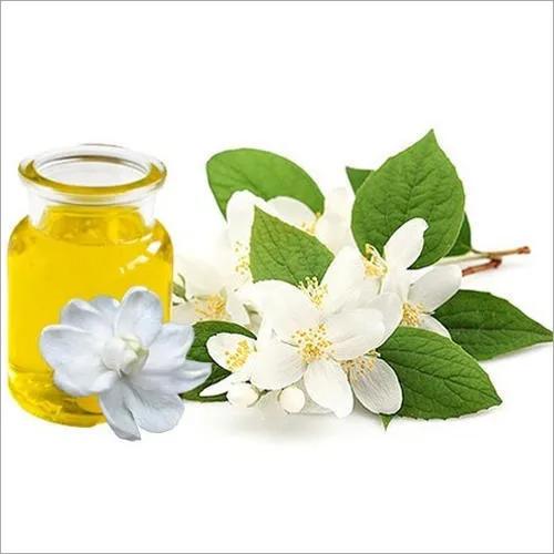 Jasmine Extract Market Trends, Growth Drivers and Forecast Outlook 2034 cover picture