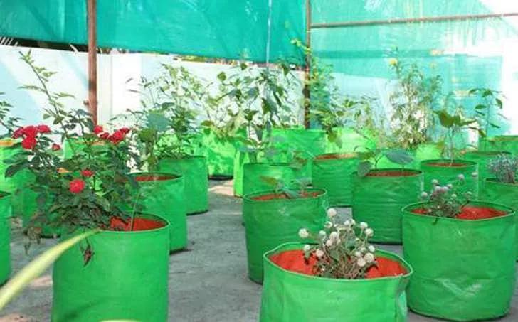 Agricultural Grow Bags Market Growth Analysis and Future Trends 2034 cover picture