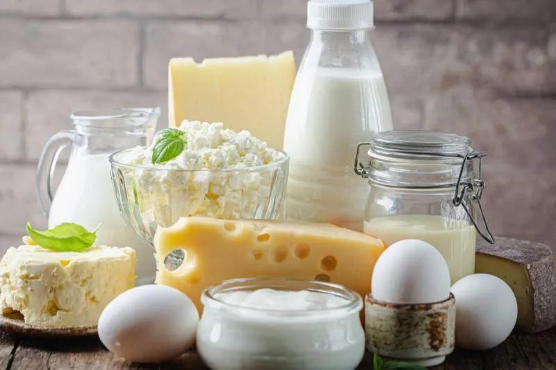 Dairy Starter Culture Market Industry Analysis and Forecast 2034 cover picture