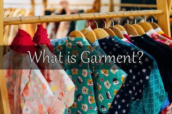 Garment Market Consumer Insights and Growth Forecast 2034 cover picture