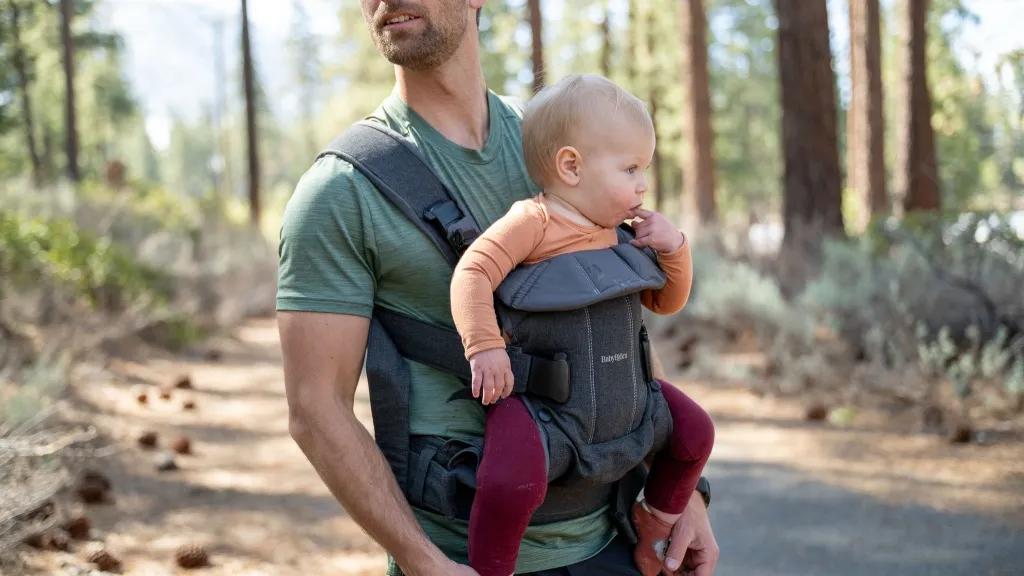 Baby Carrier Market Share and Future Growth Report 2034 cover picture