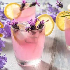 Beverage Flavoring System Market Non Alcoholic Beverages Outlook 2034 cover picture