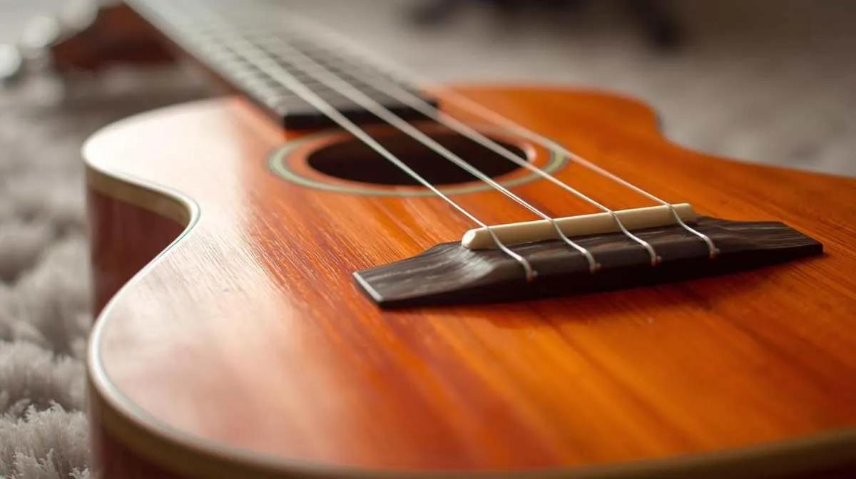The Joy of Playing the Ukulele: A Beginner's Guide cover picture