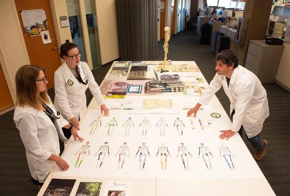 Orthopedic Trauma Courtroom Animator: How Medical Animation Strengthens Courtroom Evidence cover picture