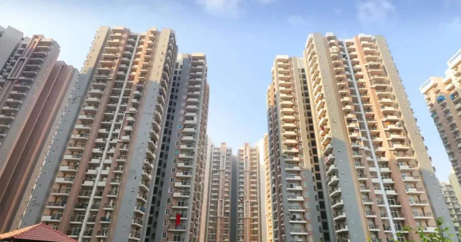 What Services Do Real Estate Consultants in Noida Offer? cover picture