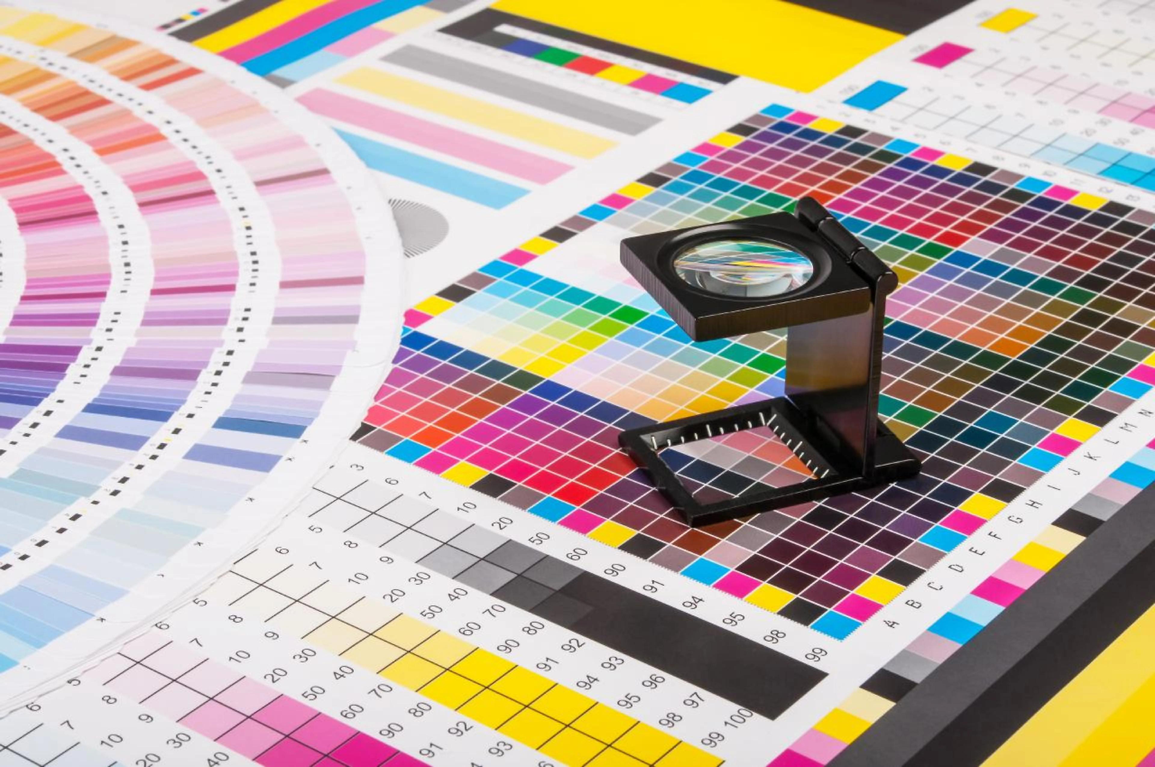 Reliable and Professional Printing Solutions for Businesses in Essex cover picture