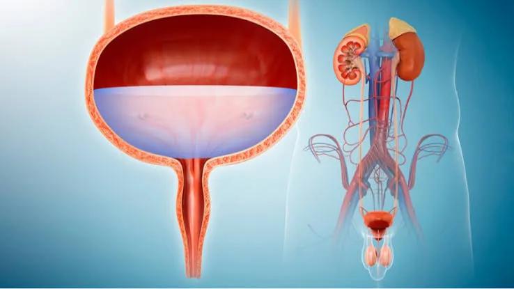 Urologist in Bangalore and Nephrology Do cover picture