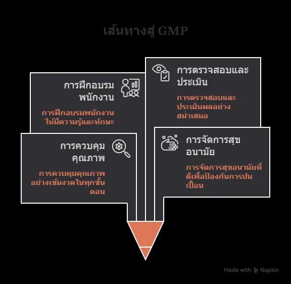 GMP Certificering: Een belangrijke stap naar veilige en kwalitatieve productie cover picture
