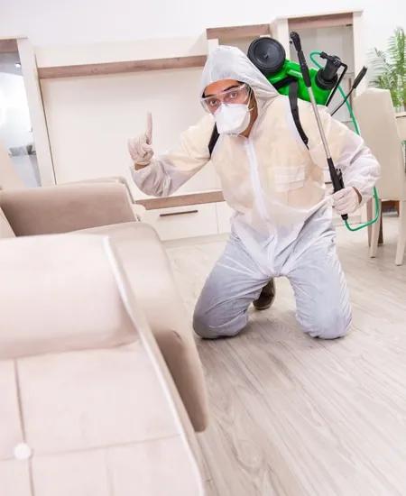 Commercial Pest Control Pickering cover picture