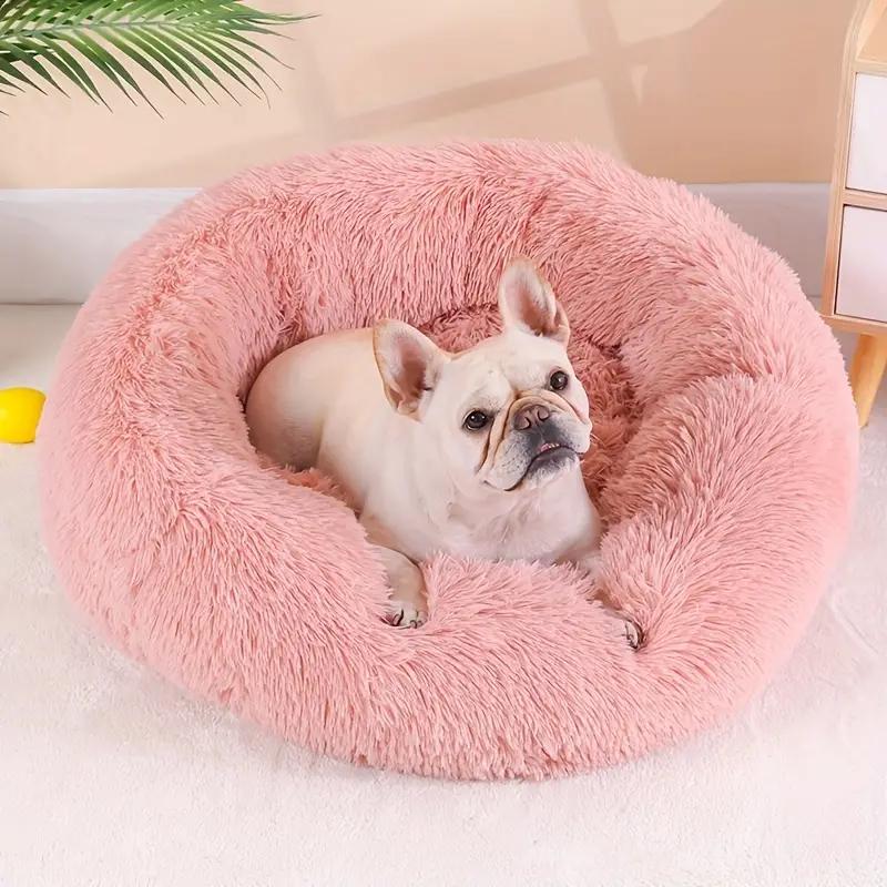 Dog Beds Canada | Calming & Orthoped cover picture
