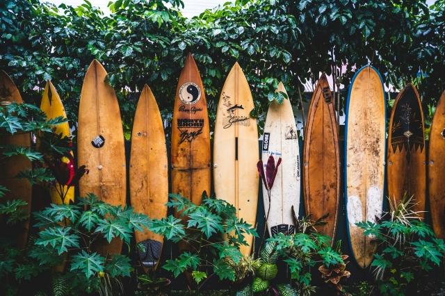 What to Consider Before Buying a Property in Hawaii cover picture