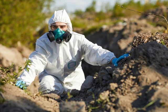 Why Investing in Pest Management Services is a Smart Move for Property Owners cover picture