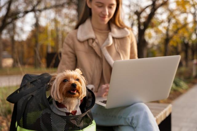Ensuring a Safe and Comfortable Arrival in the UAE: Prioritizing Your Pet’s Well-Being cover picture