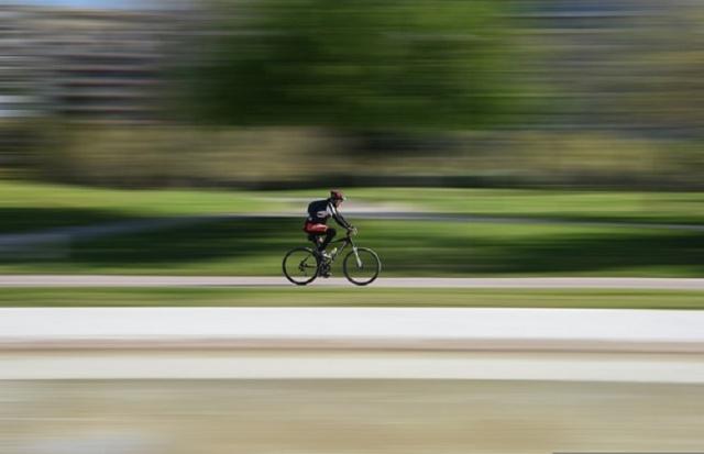 I Want to Ride My Bicycle In the Summertime cover picture