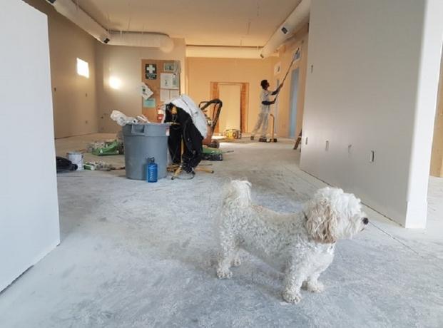 Living Green: Eight Home Remodeling Tips That Are Good for You and the Planet cover picture