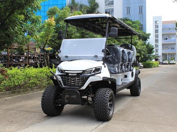 What Makes a Customized Electric Golf Cart the Best Choice for Golf Courses? cover picture