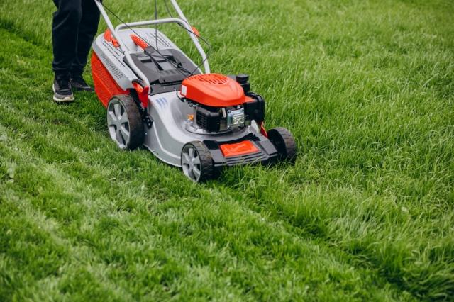 Everything you need to know about the Electric Lawn Mowers cover picture