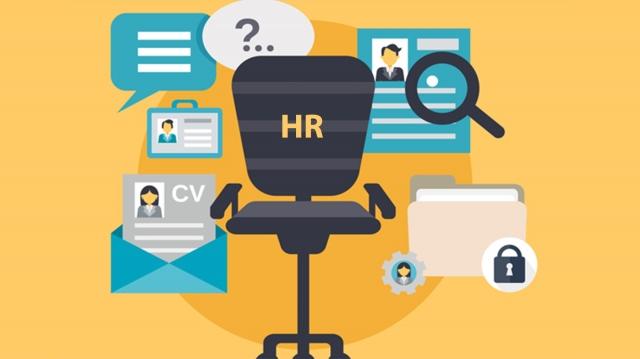 8 Best Human Resource Management Practices: Creating a Successful Workplace cover picture