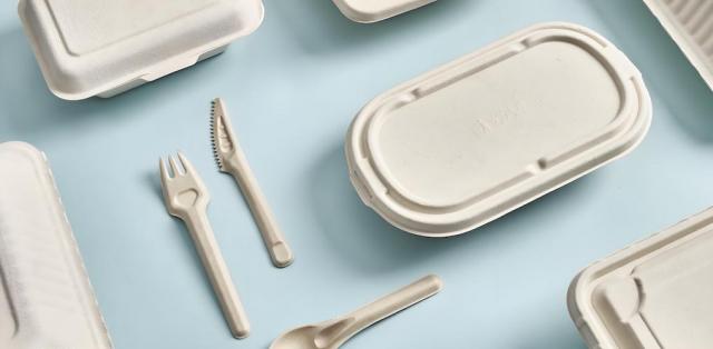 Sugarcane Pulp vs. Bamboo Pulp: Which is Better for Custom Disposable Lunch Boxes? cover picture