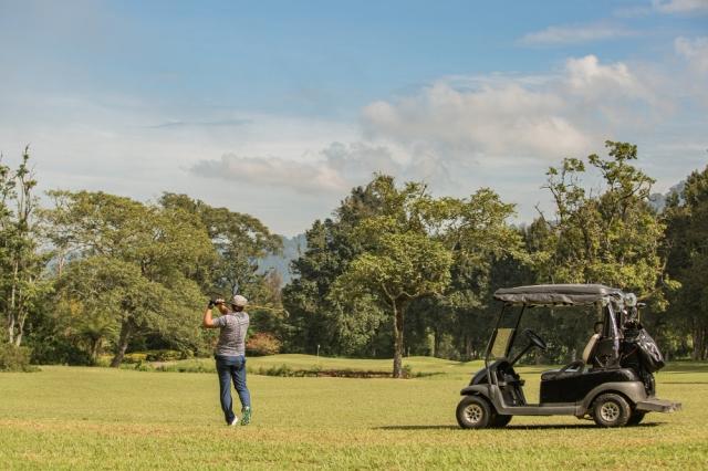 How to Choose the Best Golf Cart Battery? cover picture