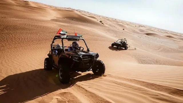 Buggy Rides for Large Groups: How to Plan cover picture