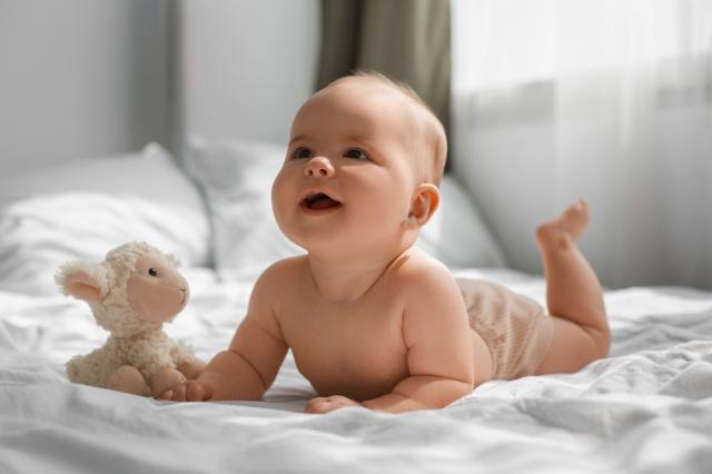 Discover the Nutritional Advantages of Plant-Based Oils in HiPP Formula for Your Baby cover picture
