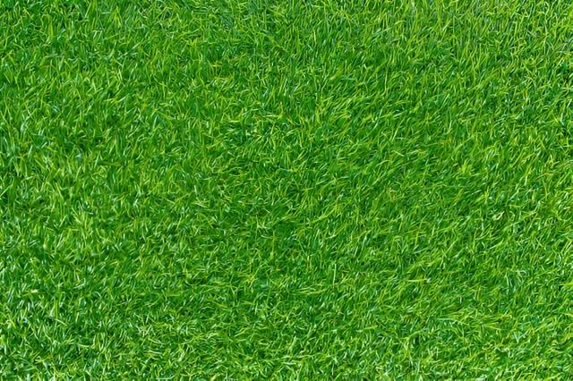 Choosing the Best Artificial Grass Suppliers cover picture