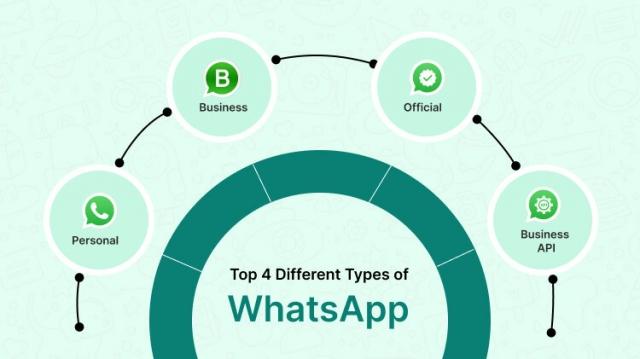 Types of WhatsApp: Exploring the Different Versions Available cover picture