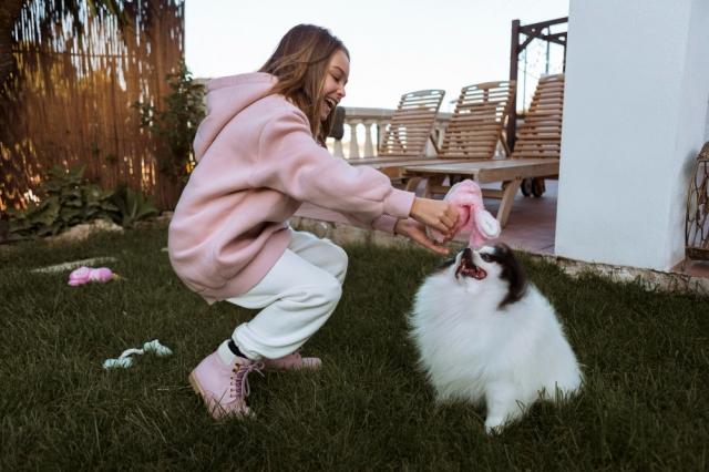 Top 8 Easter Gifts Every Dog Lover Will Obsess Over cover picture