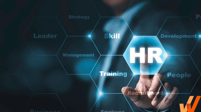 8 Best Human Resource Management Practices: Making a Successful Workplace cover picture