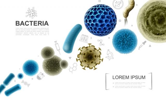 How To Cleanse Your Body Of Parasites cover picture