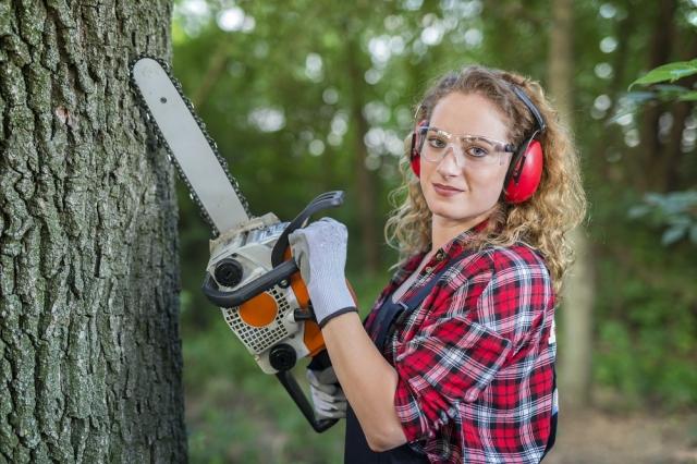 Discover the Top Major Benefits of Regular Tree Maintenance and Pruning cover picture