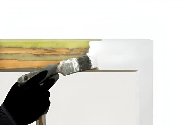Dry Rot Paint: Protection for Your Wood cover picture