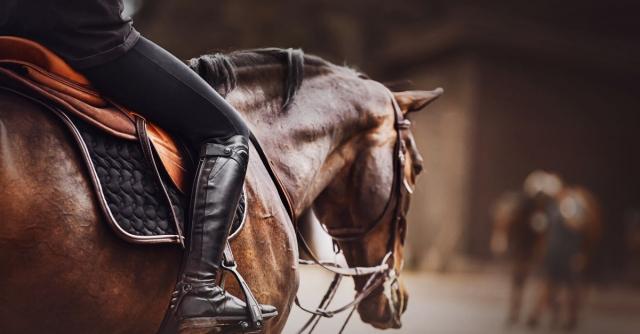 How To Select the Best Saddle for Roping Success cover picture