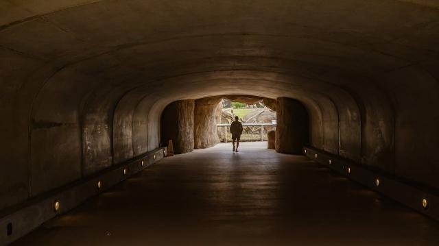 What Happens If You Skip Crawl Space Encapsulation? cover picture