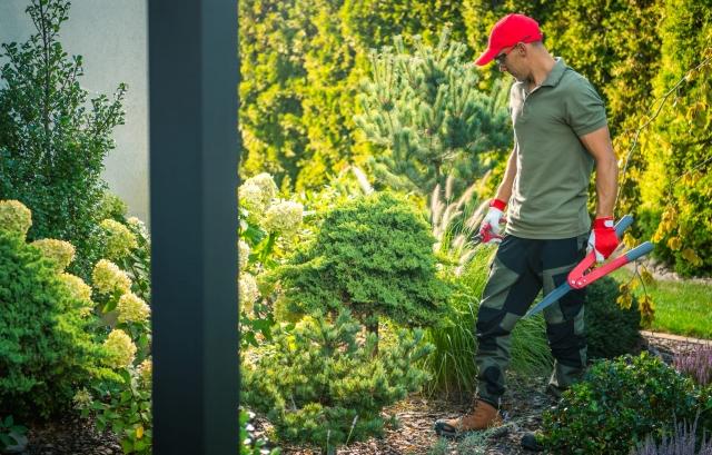8 Ways Expert Landscapers Manage Drainage for Lasting Outdoor Spaces cover picture